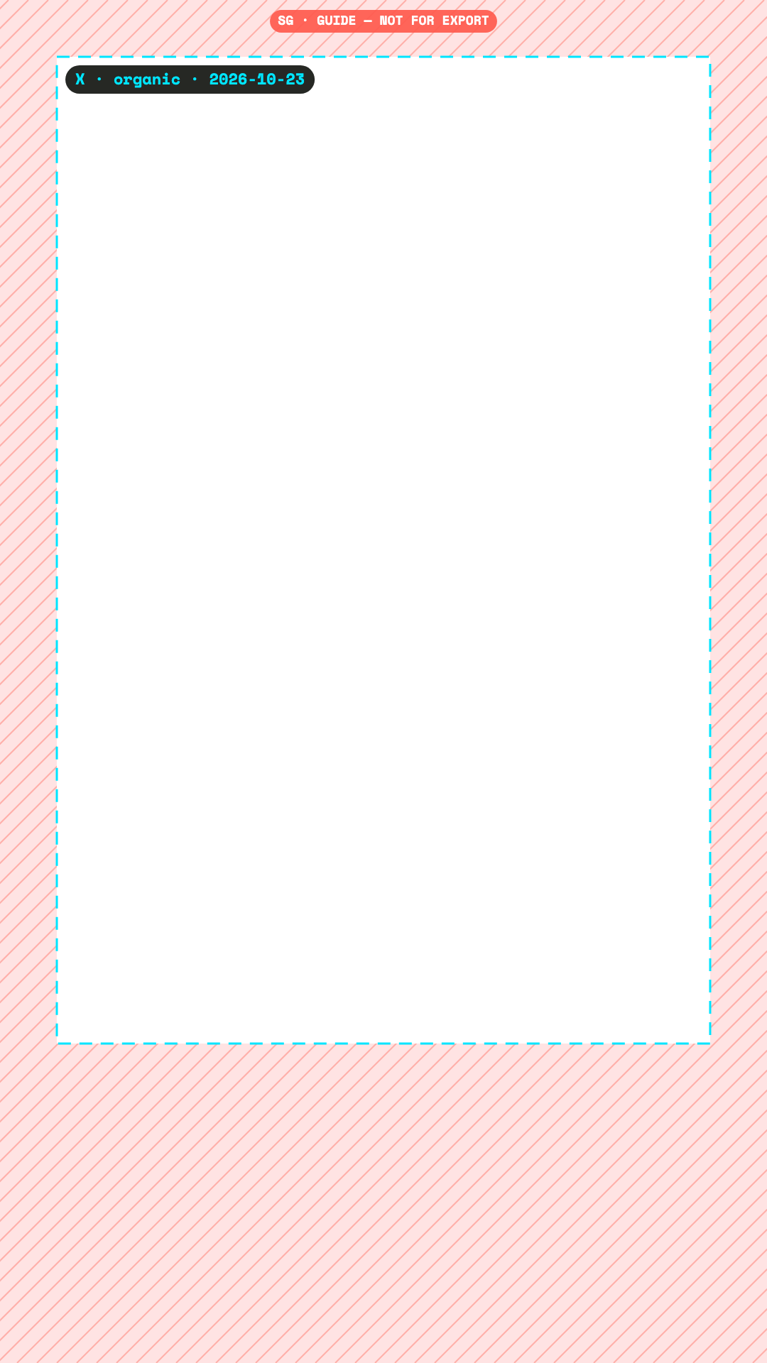 X safe zone overlay